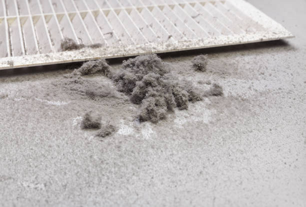 Best Commercial Air Duct Cleaning  in Silver Lakes, CA